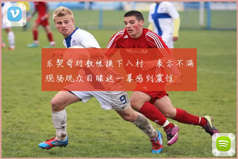 东契奇对教练换下八村塁表示不满现场观众目睹这一幕感到震惊